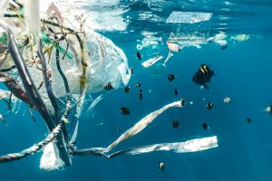 Hoe recycleerbaar is plastic?