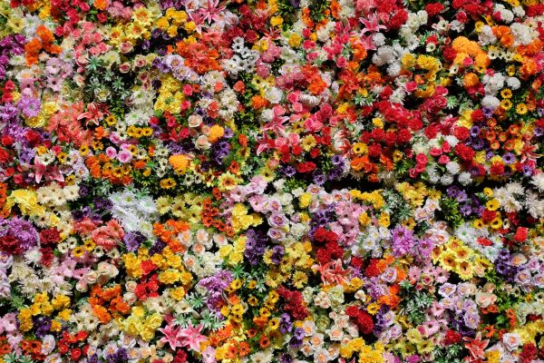 Bloemen in verschillende culturen - ontdek hoe bloemen over de hele wereld worden gewaardeerd!